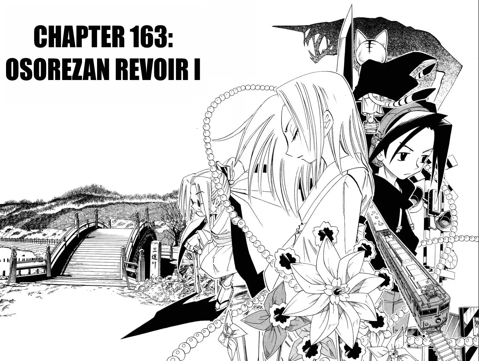 Shaman King Chapter 163 7